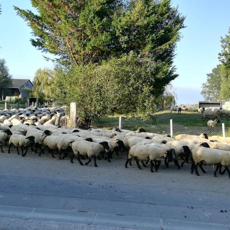 Gites Les 2 Clos Au Pied Du Mont Pontorson Exterior foto
